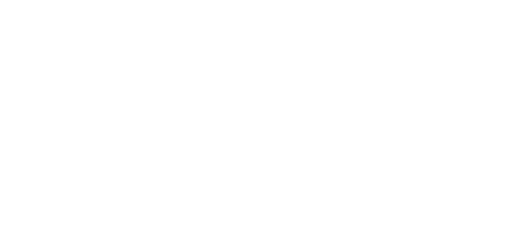 AUTEL